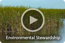 Video - Environmental Stewardship